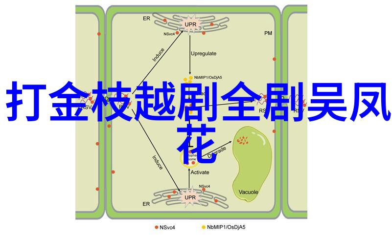 越剧玉蝶传奇